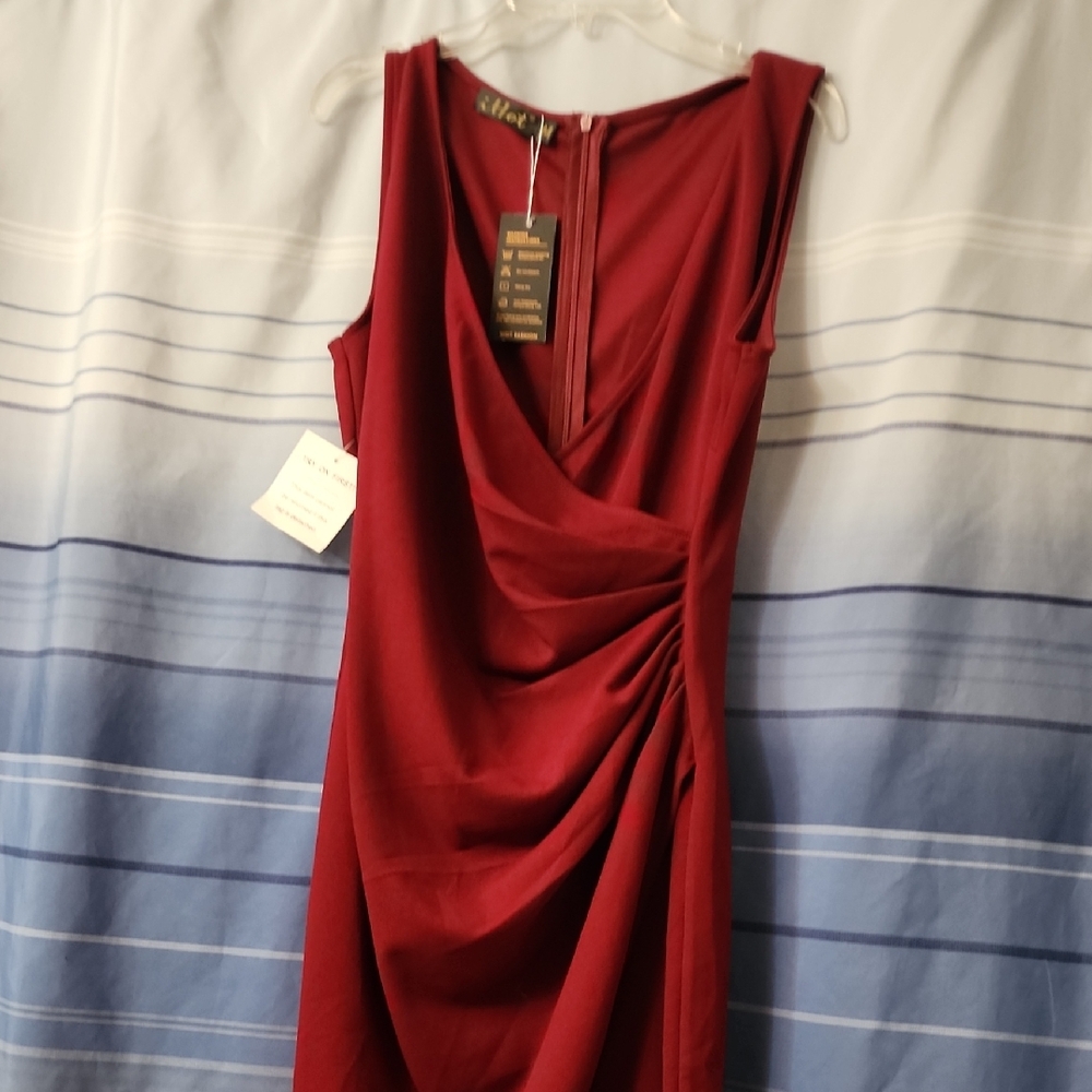 Elegant Maroon Dress
